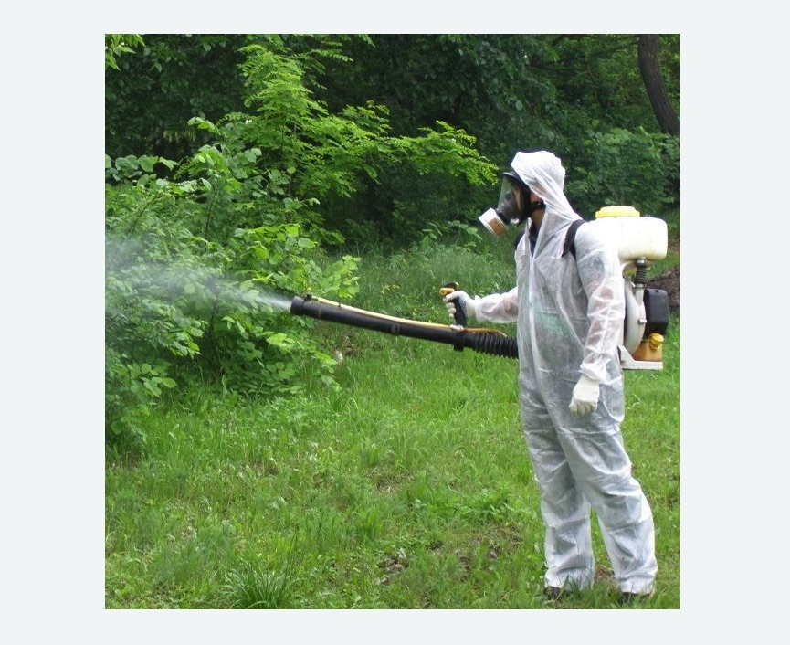 обработка территории от клещей в Менделеево