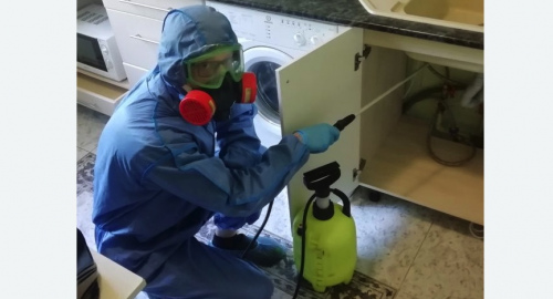 Уничтожение муравьев в квартире. Менделеево