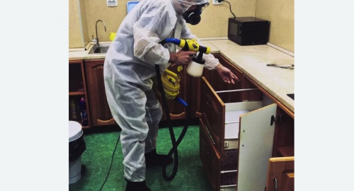 Дезинсекция квартиры. Менделеево