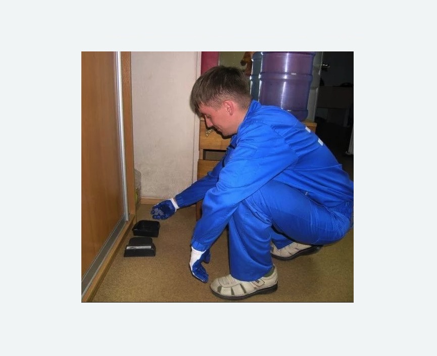 Дератизация крыс в Менделеево