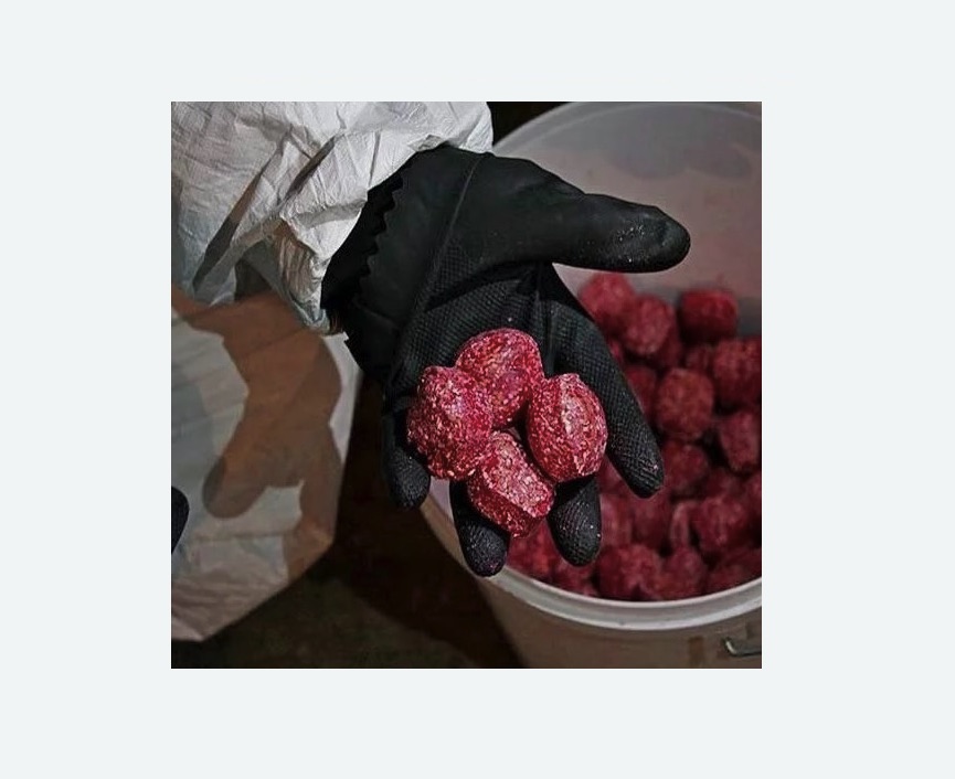 Обработка от крыс в Менделеево