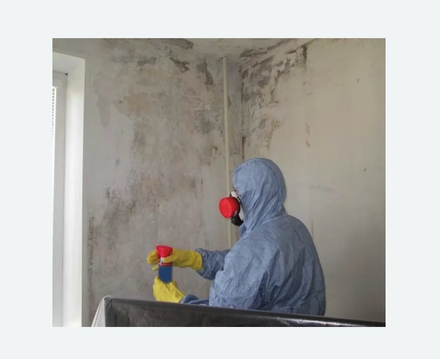 Удаление плесени в квартире в Менделеево