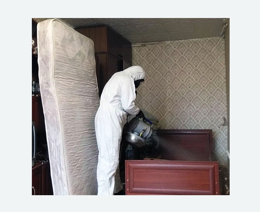 дезинфекция от клопов в Менделеево