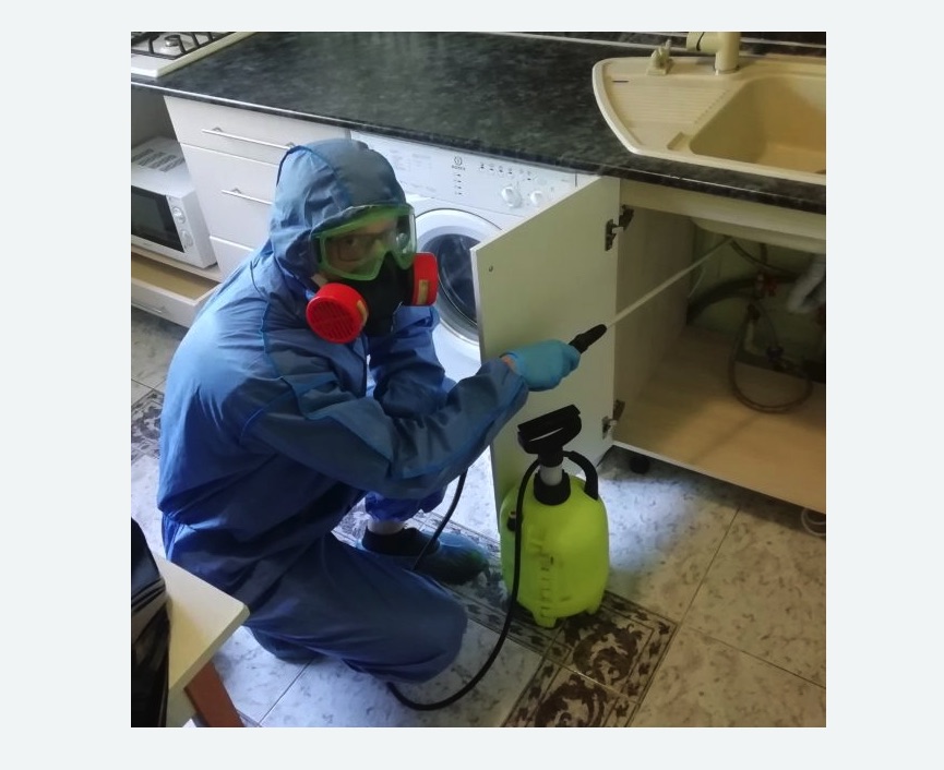 обработка от муравьев в квартире в Менделеево