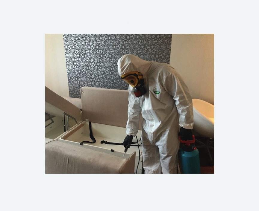 уничтожение клопов в квартире в Менделеево