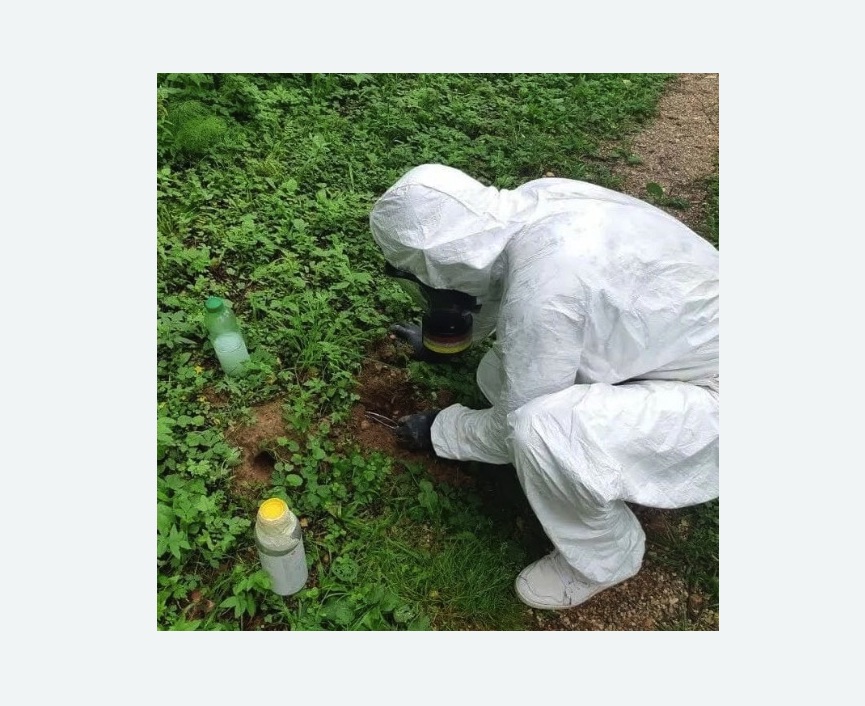 уничтожение кротов на участке в Менделеево