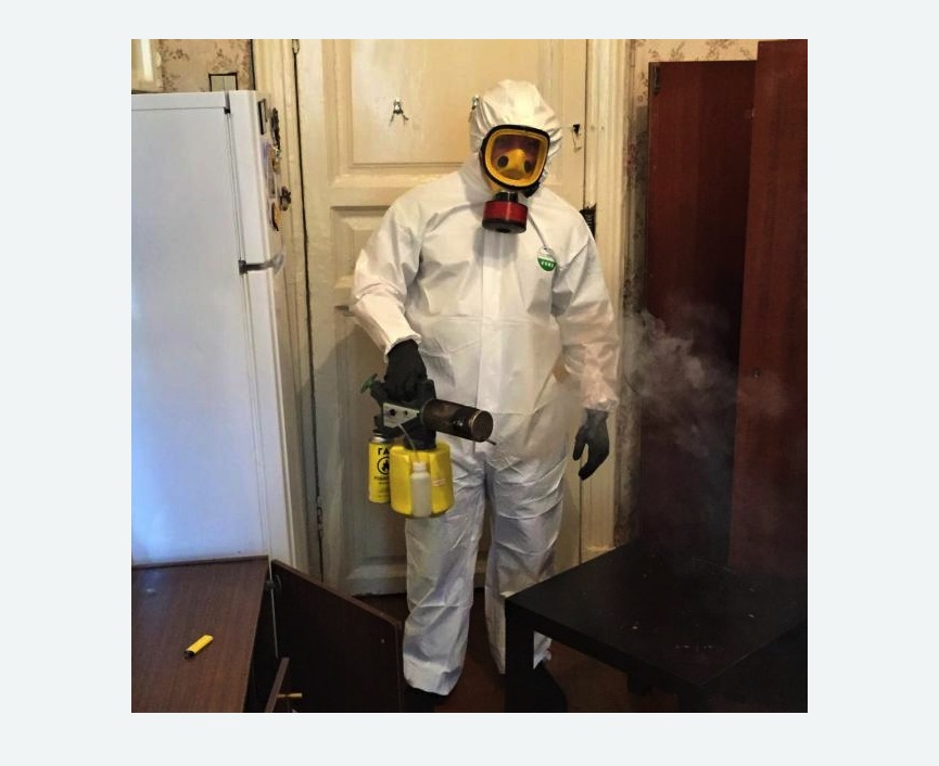 уничтожение муравьев в квартире в Менделеево